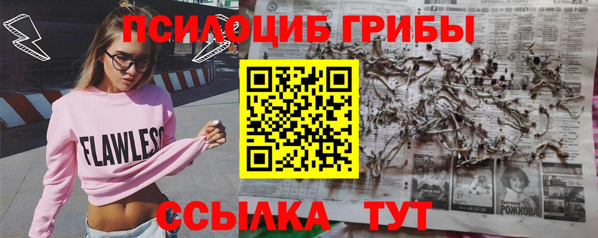 Псилоцибиновые грибы прущие грибы  Вход с VPN  Ирбит  Галлюциногенные грибы мицелий 